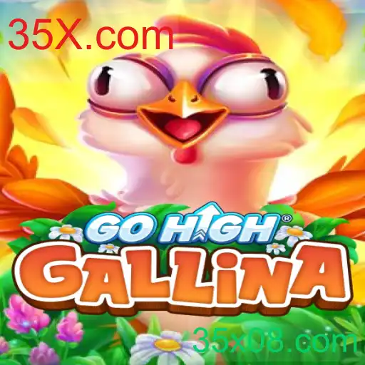 Tudo o que Você Precisa Saber Sobre GoHighGallina